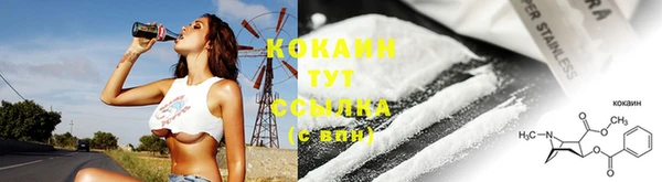 трава Зерноград