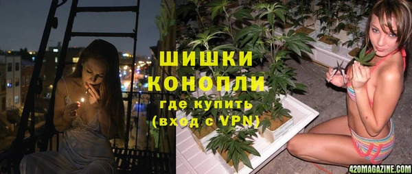 ГАЛЛЮЦИНОГЕННЫЕ ГРИБЫ Зеленокумск